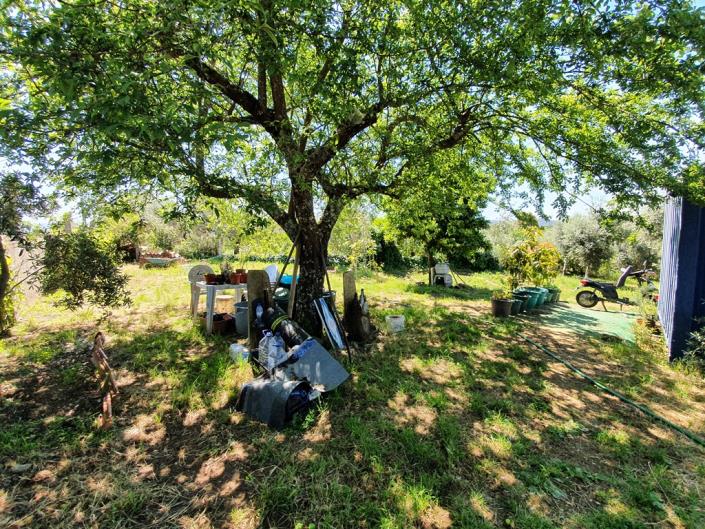 Image No.20-Terre de 1 chambre à vendre à Pedrógão Grande