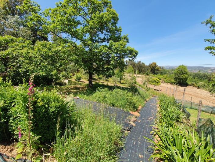 Image No.27-Chalet de 2 chambres à vendre à Pedrógão Grande