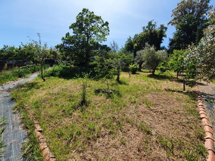 Image No.28-Chalet de 2 chambres à vendre à Pedrógão Grande