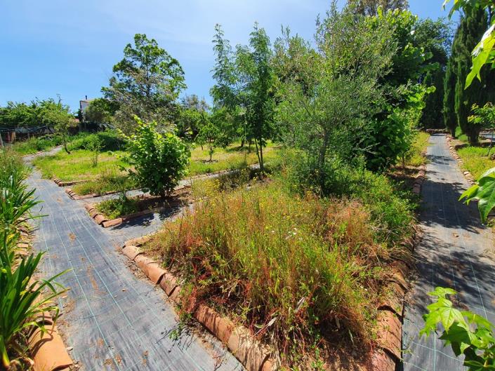 Image No.29-Chalet de 2 chambres à vendre à Pedrógão Grande