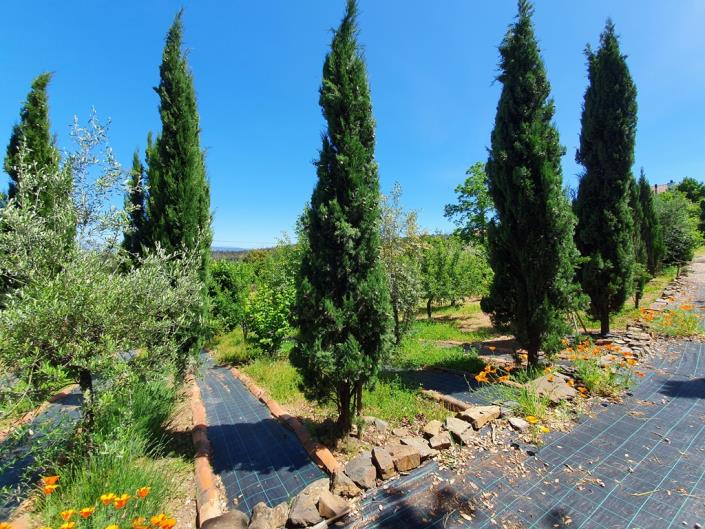 Image No.30-Chalet de 2 chambres à vendre à Pedrógão Grande