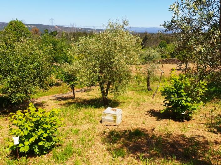 Image No.33-Chalet de 2 chambres à vendre à Pedrógão Grande