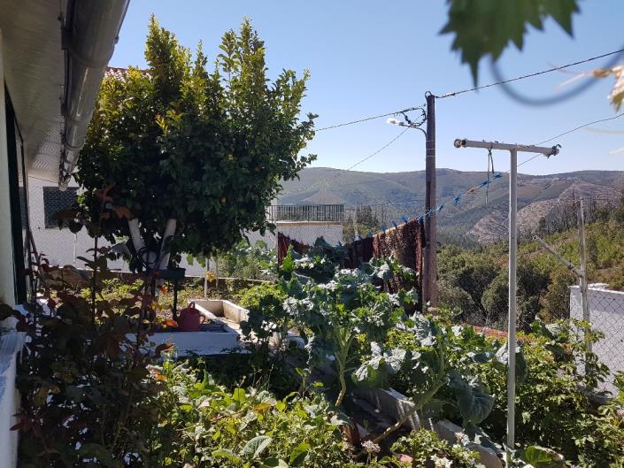 Image No.17-Chalet de 4 chambres à vendre à Pampilhosa da Serra