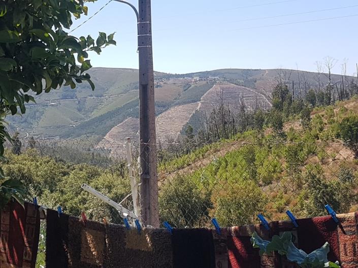 Image No.16-Chalet de 4 chambres à vendre à Pampilhosa da Serra