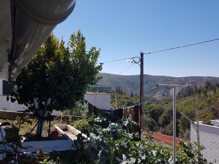 Image No.18-Chalet de 4 chambres à vendre à Pampilhosa da Serra