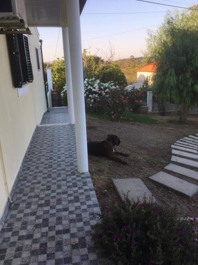 Image No.6-Bungalow de 4 chambres à vendre à Ansião