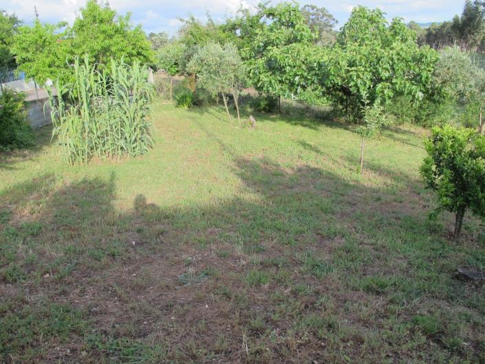 Image No.26-Bungalow de 4 chambres à vendre à Ansião