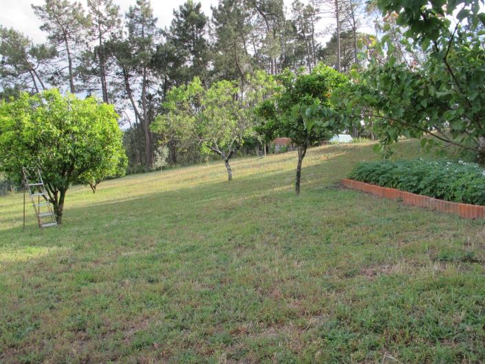 Image No.27-Bungalow de 4 chambres à vendre à Ansião