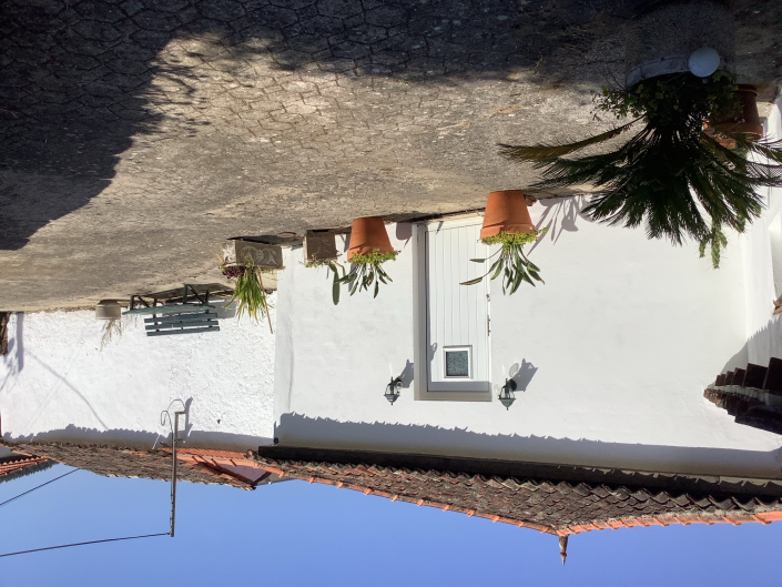 Image No.2-Chalet de 3 chambres à vendre à Campelo