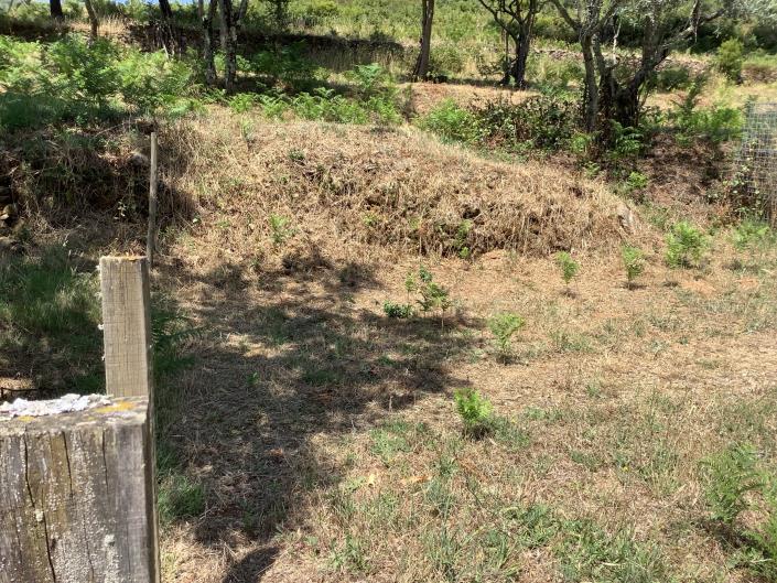 Image No.17-Chalet de 3 chambres à vendre à Campelo