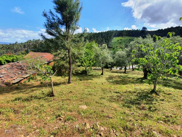 Image No.23-Chalet de 2 chambres à vendre à Pedrógão Grande