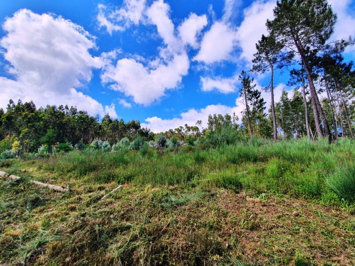 Image No.24-Chalet de 2 chambres à vendre à Pedrógão Grande