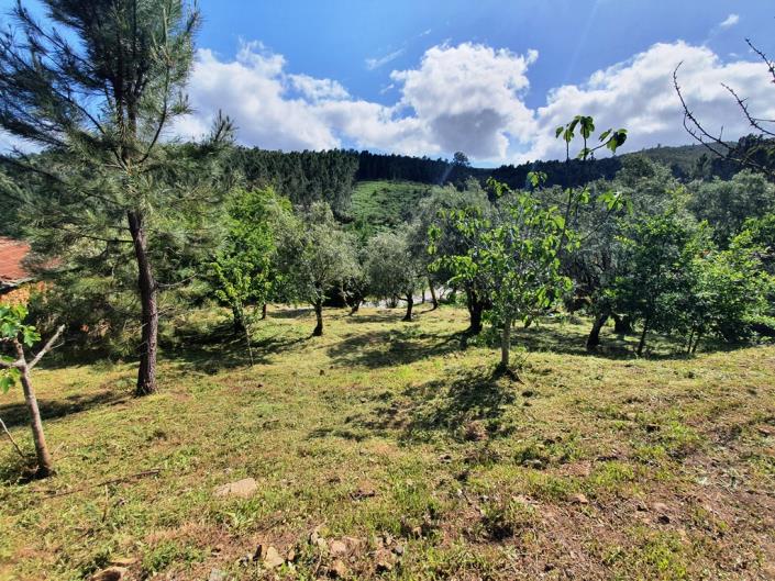 Image No.27-Chalet de 2 chambres à vendre à Pedrógão Grande