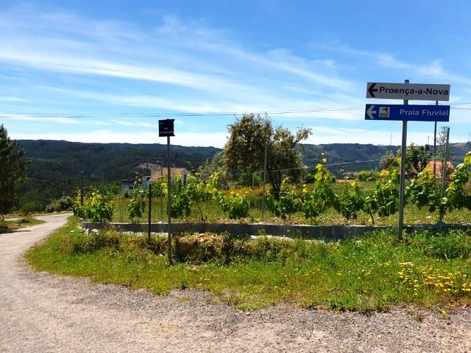 Image No.33-Maison de village de 5 chambres à vendre à Sertã