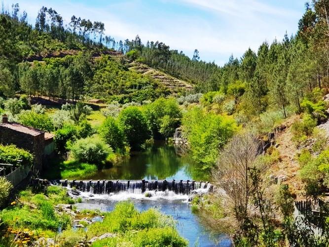 Image No.34-Maison de village de 5 chambres à vendre à Sertã