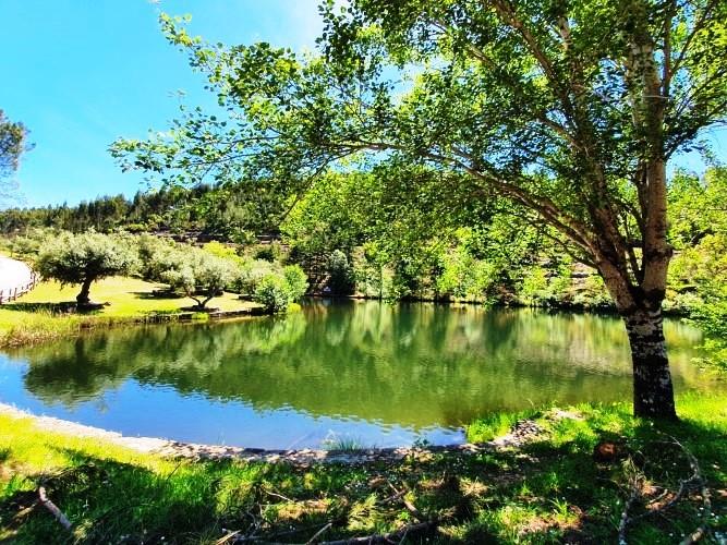 Image No.35-Maison de village de 5 chambres à vendre à Sertã