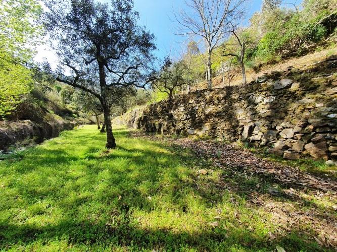 Image No.10-Plot for sale