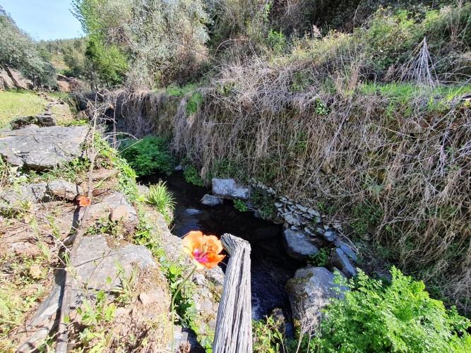 Image No.15-Plot for sale