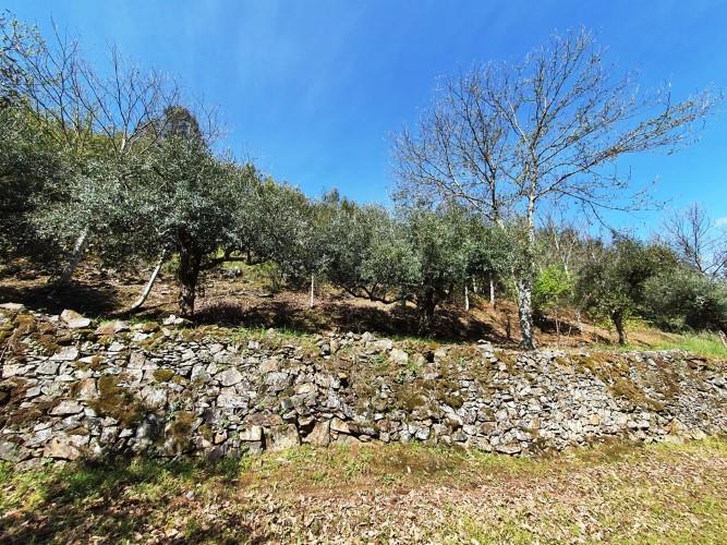 Image No.16-Plot for sale