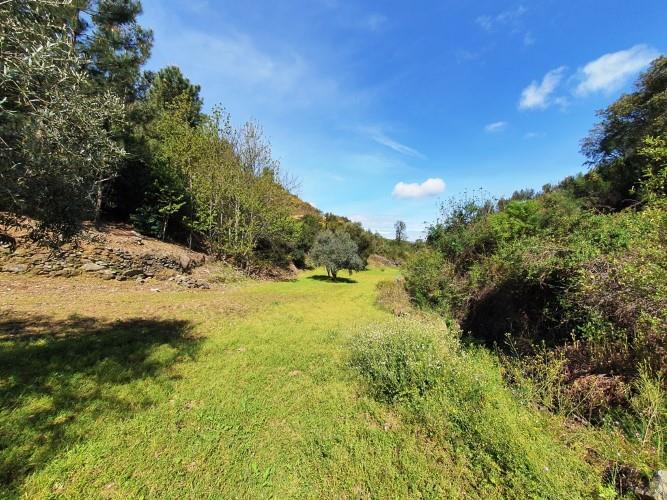 Image No.18-Plot for sale