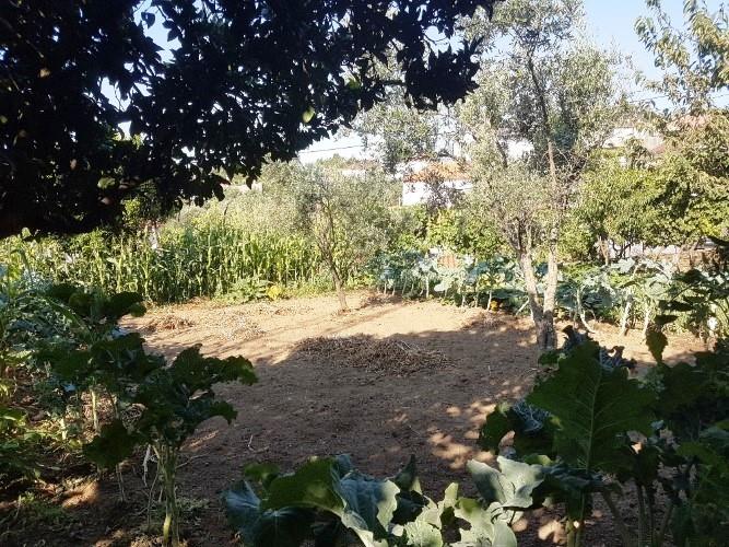 Image No.8-5 Bed Village House for sale