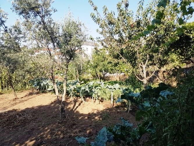 Image No.10-5 Bed Village House for sale