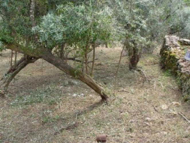 Image No.9-3 Bed Farmhouse for sale