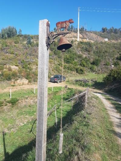 Image No.8-1 Bed Farmhouse for sale