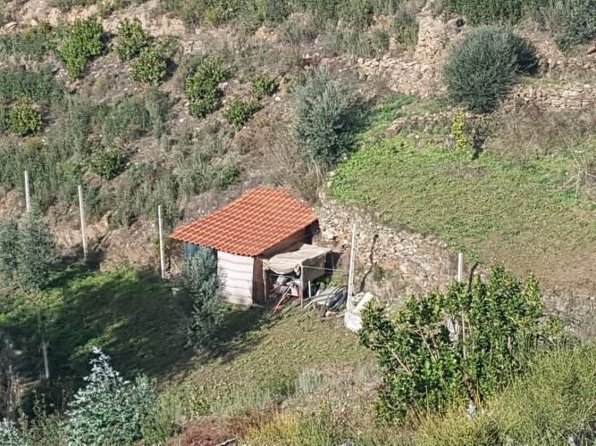 Image No.15-1 Bed Farmhouse for sale