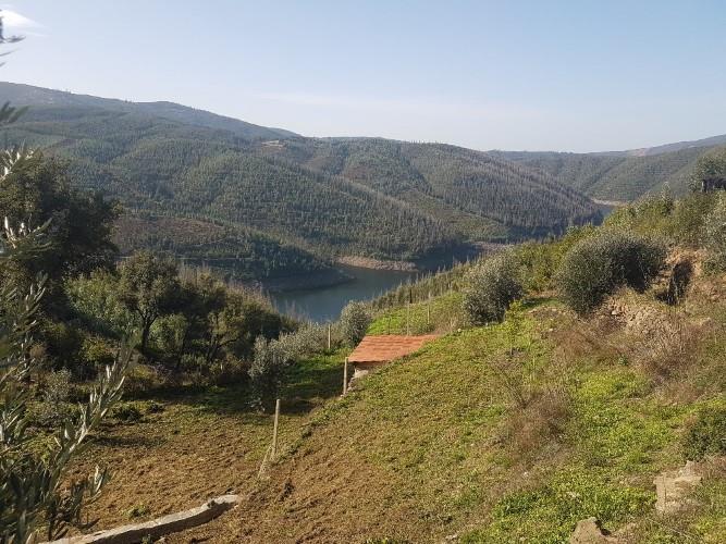 Image No.21-1 Bed Farmhouse for sale