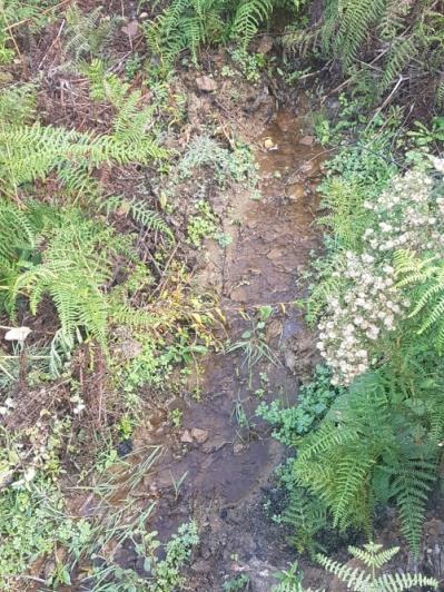 Image No.23-1 Bed Farmhouse for sale