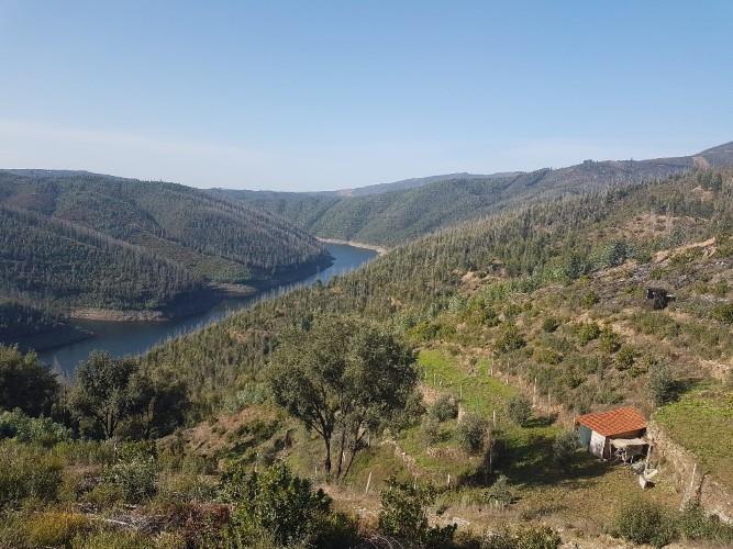 Image No.31-1 Bed Farmhouse for sale