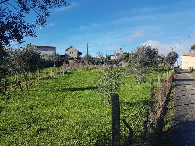 Image No.7-Maison à vendre à Pedrógão Grande