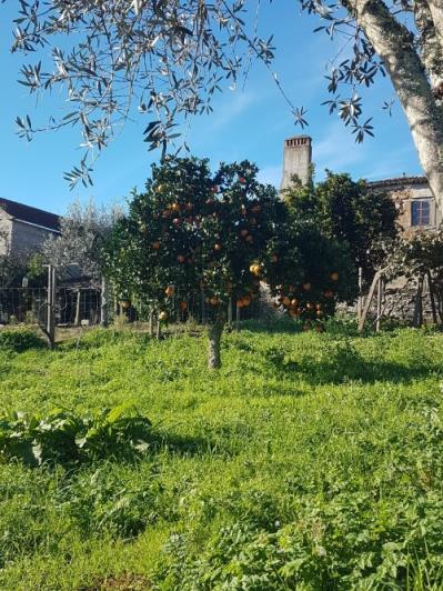 Image No.8-Maison à vendre à Pedrógão Grande