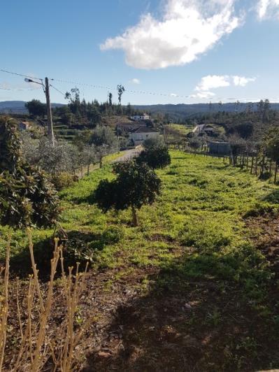 Image No.9-Maison à vendre à Pedrógão Grande