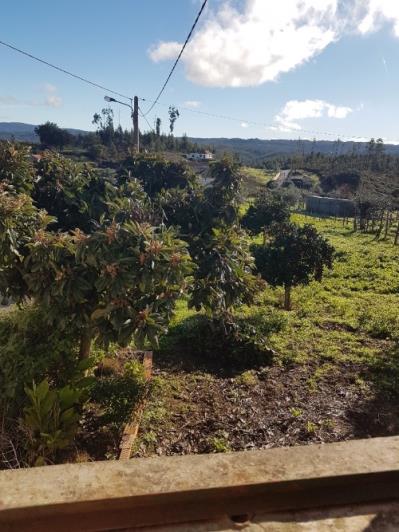 Image No.10-Maison à vendre à Pedrógão Grande