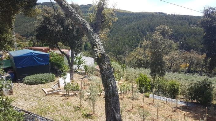 Image No.8-2 Bed Plot for sale