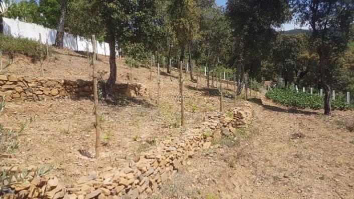 Image No.24-2 Bed Plot for sale