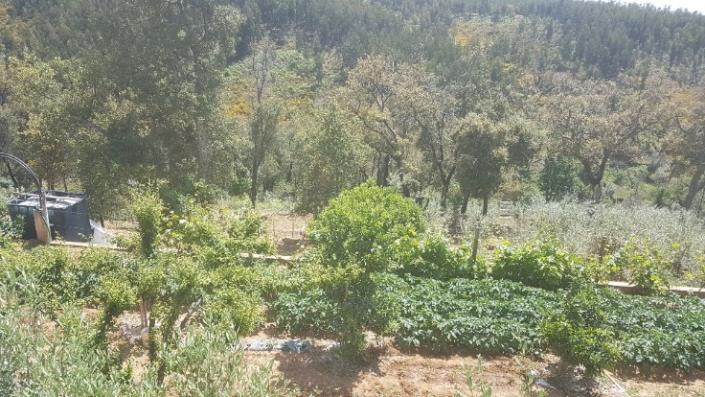 Image No.26-2 Bed Plot for sale