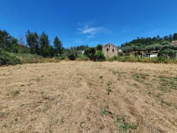 1 - Sertã, Plot