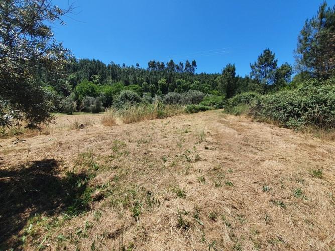 Image No.4-Plot for sale