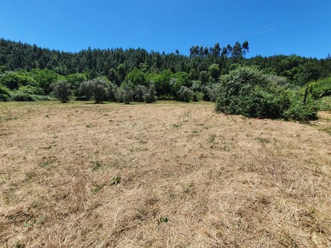 Image No.5-Plot for sale