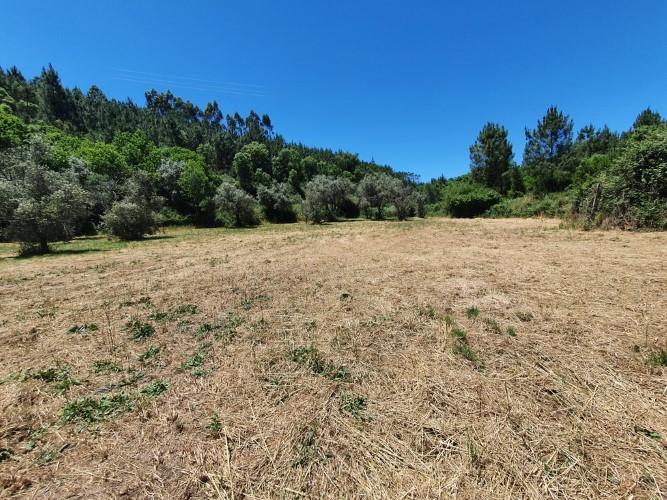 Image No.6-Plot for sale