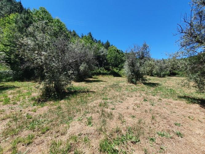 Image No.8-Plot for sale