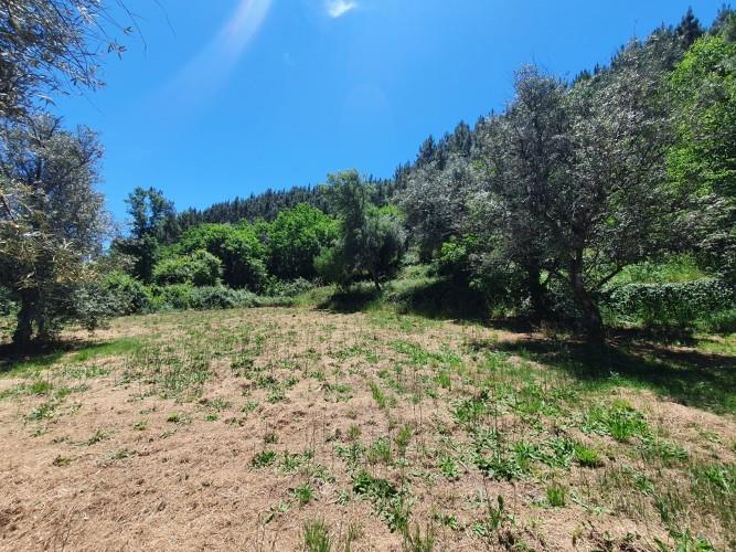 Image No.9-Plot for sale