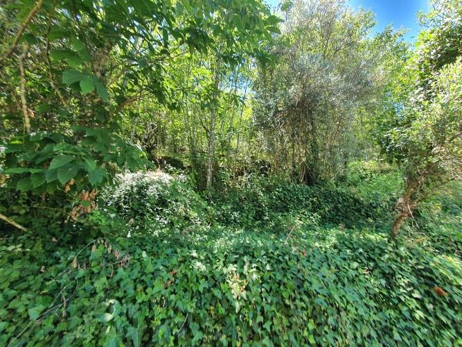 Image No.10-Plot for sale