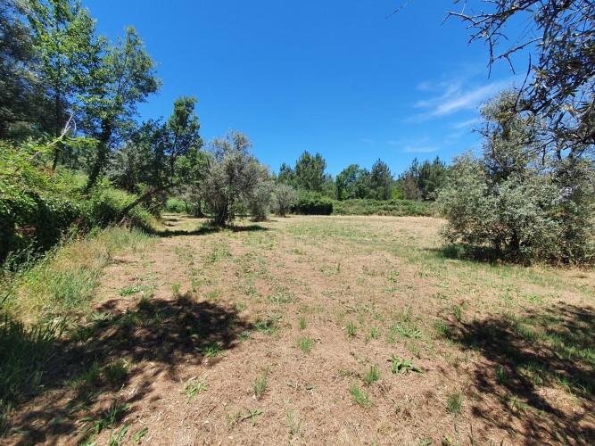 Image No.11-Plot for sale