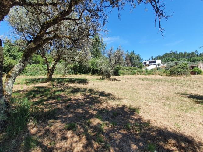 Image No.13-Plot for sale