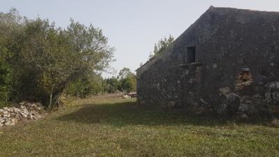12---1054--Custom-