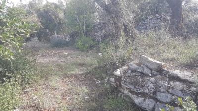 16---1054--Custom-